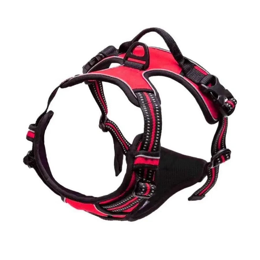 Harnais – Confortable & Ajustable, Toutes Tailles
