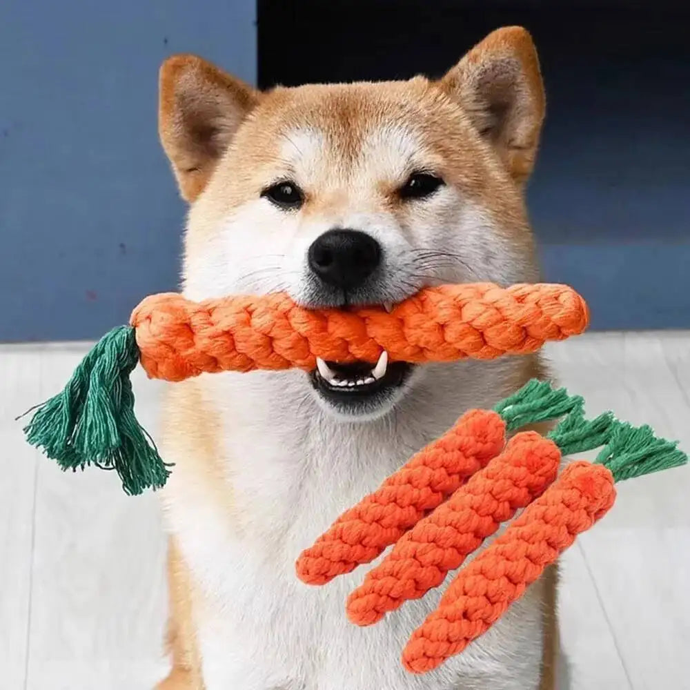 Jouet Peluche pour Chien — Canard, Pieuvre & Amis