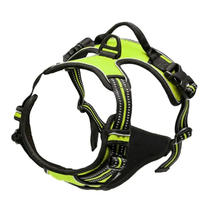 Harnais – Confortable & Ajustable, Toutes Tailles