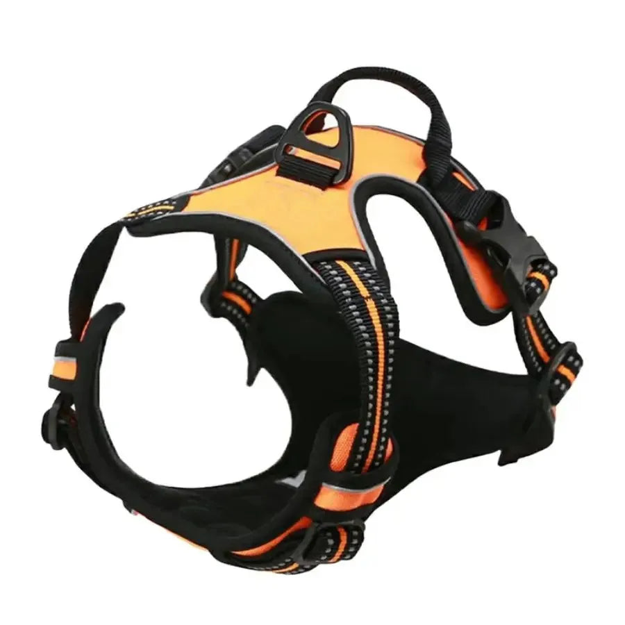 Harnais – Confortable & Ajustable, Toutes Tailles